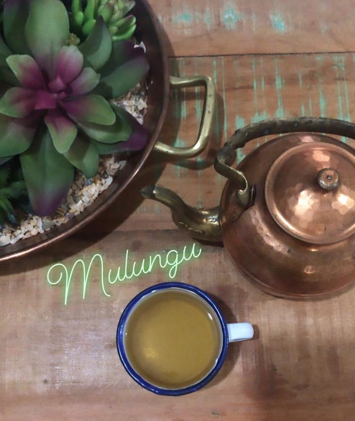 chá de mulungu